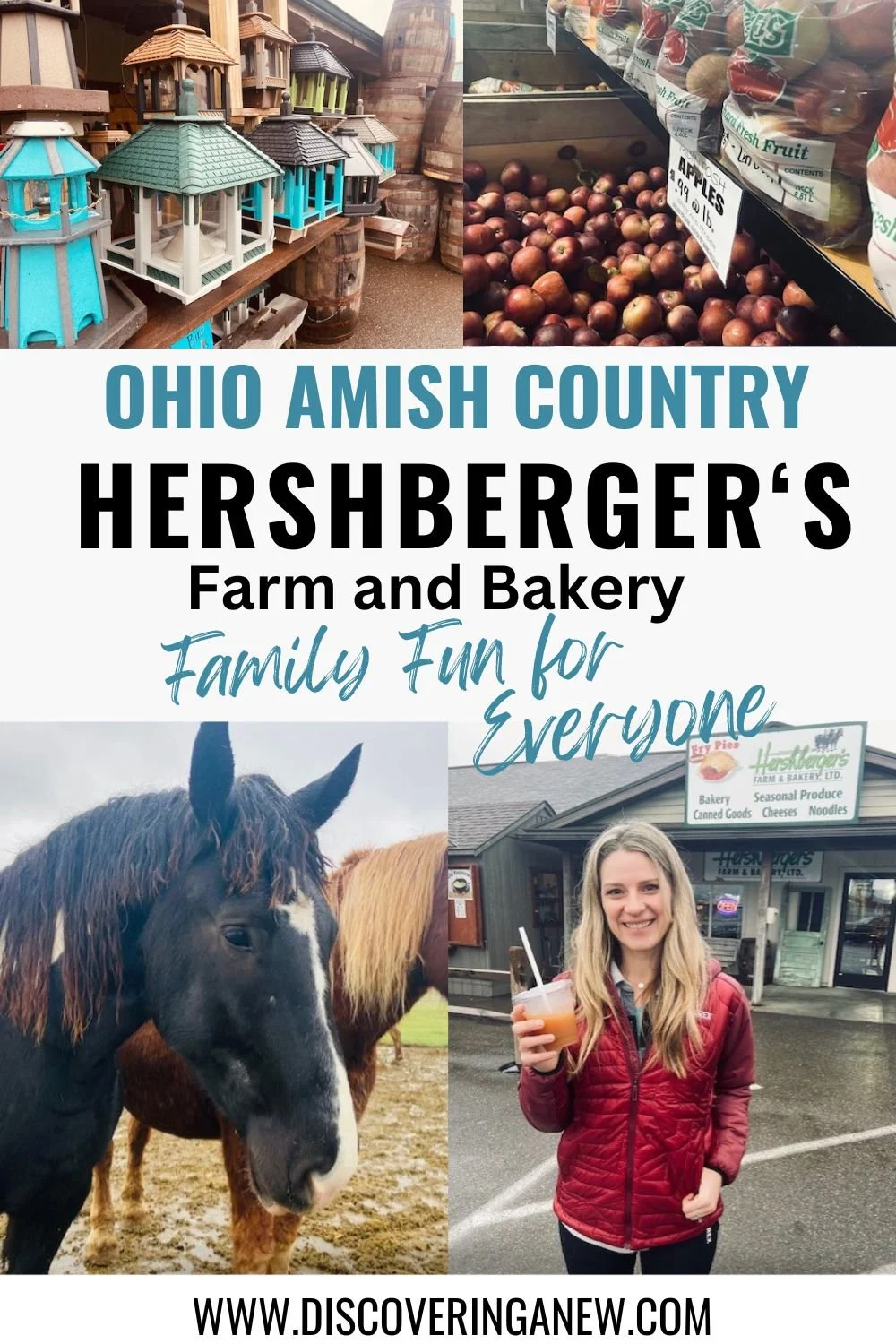 Hershberger's Farm and Bakery: The Best of Amish Goods — discovering anew